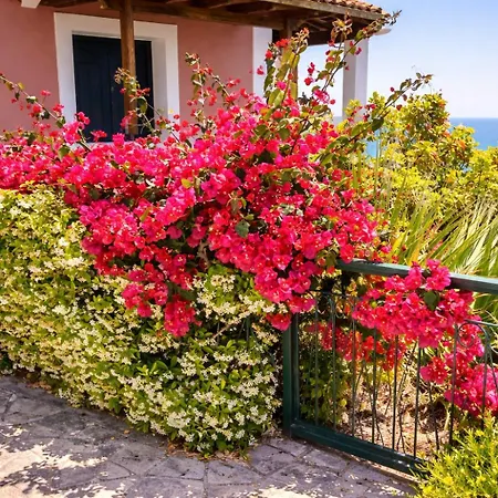 Two Floors 2-3 People